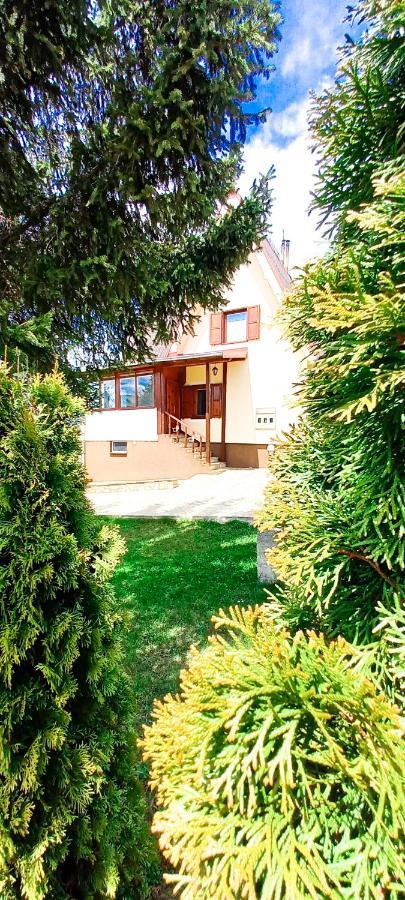 Apartment Relja Zlatibor Exteriér fotografie